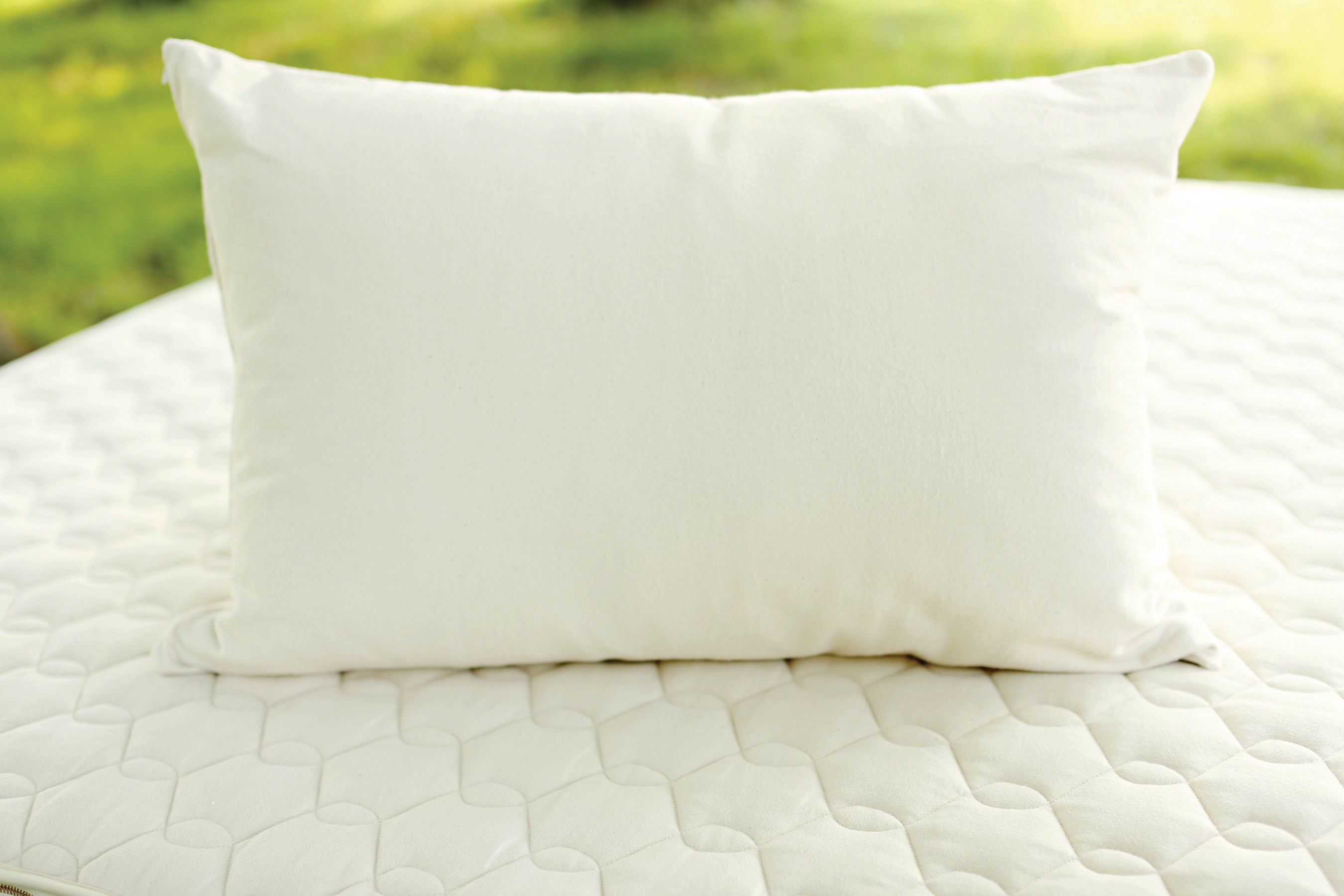 Savvy Rest Shredded Latex Pillow – Organic Living AZ