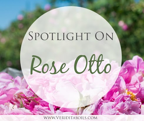 Pranarom: Rose Otto Organic Essential Oil – Organic Living AZ