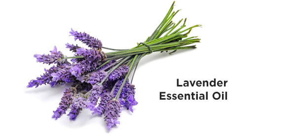 lavender-essential-oil